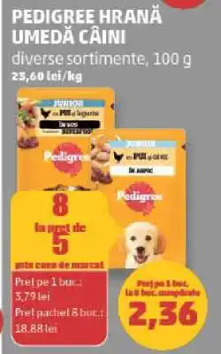 Penny PEDIGREE HRANĂ UMEDĂ CÂINI Ofertă