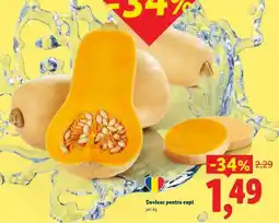 Lidl Dovleac pentru copt Ofertă