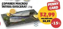 Penny COPANEX MACROU ÎNTREG EVISCERAT 1 kg Ofertă