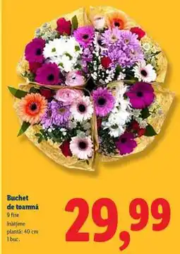 Lidl Buchet de toamnă Ofertă