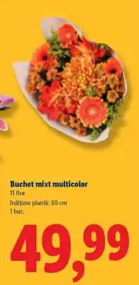 Lidl Buchet mixt multicolor Ofertă