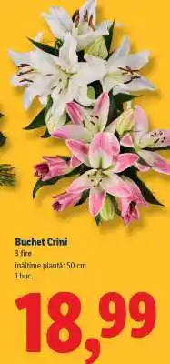 Lidl Buchet crini Ofertă