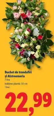 Lidl Buchet de trandafiri și Alstroemeria Ofertă