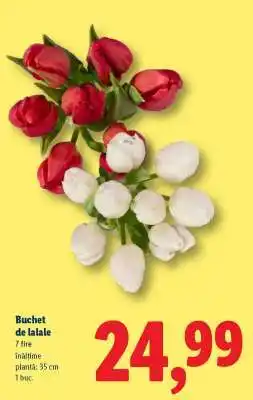 Lidl Buchet de lalele Ofertă
