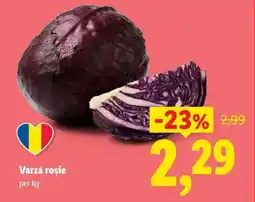 Lidl Varză roşie Ofertă