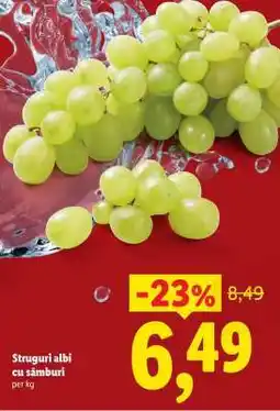 Lidl Struguri albi cu sâmburi Ofertă