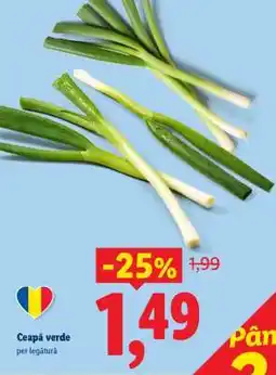 Lidl Ceapă verde Ofertă