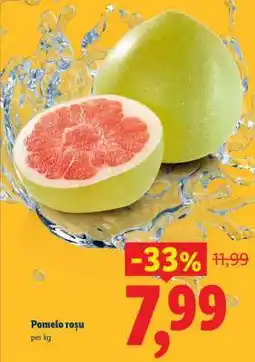 Lidl Pomelo roșu Ofertă