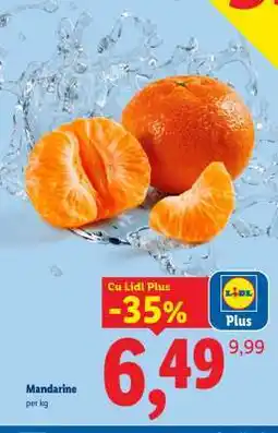 Lidl Mandarine Ofertă
