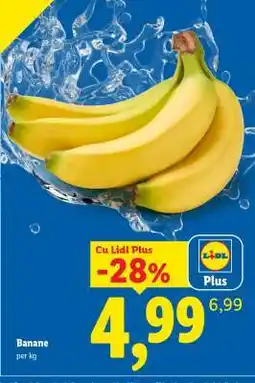 Lidl Banane Ofertă