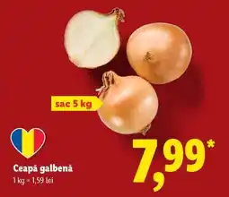 Lidl Ceapă galbenă Ofertă
