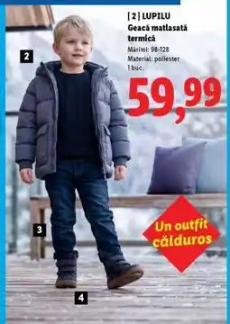 Lidl LUPILU Geacă matlasată termică Ofertă