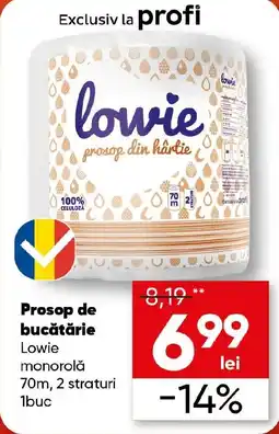 PROFI Lowie prosop din hârtie Ofertă