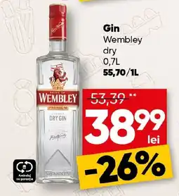 PROFI Wembley gin dry Ofertă
