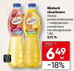 PROFI Hortex băutură răcoritoare Ofertă