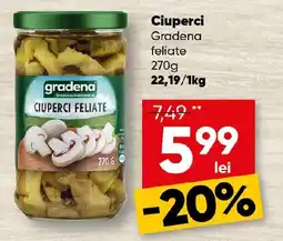 PROFI Gradena ciuperci feliate Ofertă