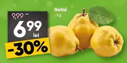 PROFI Gutui Ofertă