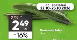 PROFI Castraveți Fabio Ofertă