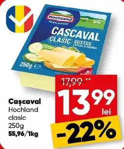 PROFI Hochland cașcaval clasic Ofertă