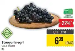 Mega Image Grădina Mega Struguri negri Ofertă