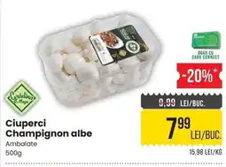 Mega Image Grădina Mega Ciuperci Champignon albe Ofertă