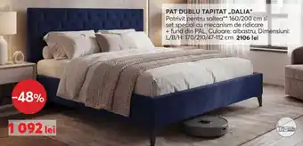Pat dublu tapitat dalia