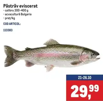 Păstrăv eviscerat