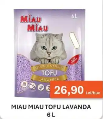 Miau Miau tofu lavanda