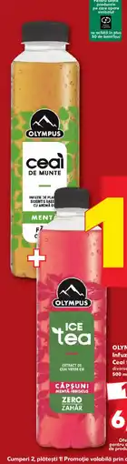 Kaufland Olympus Infuzie plante / Ceai fără zahăr Ofertă