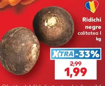 Ridichi negre