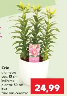 Kaufland Crin Ofertă
