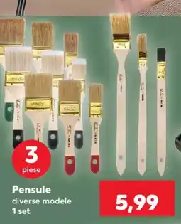 Kaufland Pensule diverse modele Ofertă