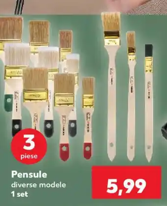 Pensule diverse modele