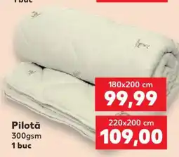 Kaufland Pilotă Ofertă