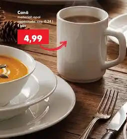 Kaufland Cană Ofertă