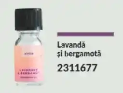Avon Avon lavanda și bergamotă Ofertă
