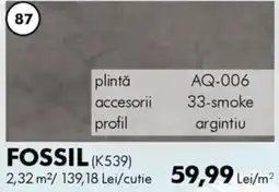 Diego Fossil (K539) Ofertă