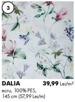 Diego Dalia Ofertă