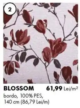 Diego Blossom Ofertă