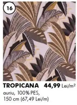 Diego Tropicana Ofertă