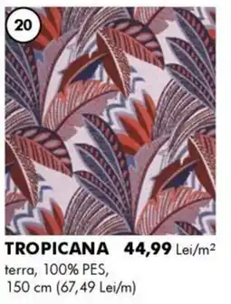 Diego Tropicana Ofertă