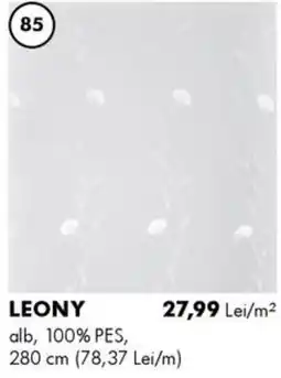 Diego Leony Ofertă