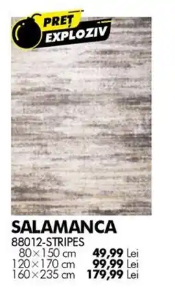 Diego Salamanca 88012-stripes Ofertă