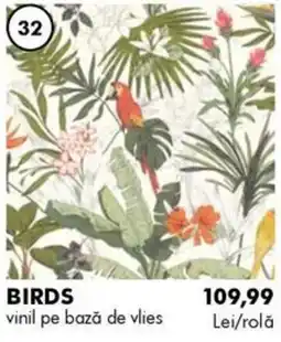 Diego Birds Ofertă