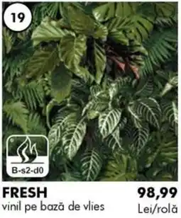 Diego Fresh vinil pe bază de vies Ofertă