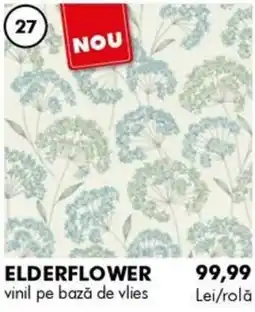 Diego Elderflower Ofertă