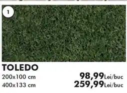 Diego Toledo Ofertă