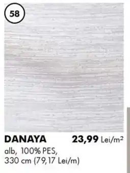 Diego Danaya Ofertă