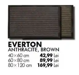 Diego Everton anthracite, brown Ofertă