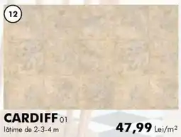 Diego Cardiff 01 Ofertă